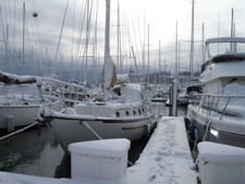 Anacortes in the snow