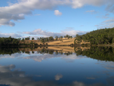 Stillness in the Duck Pond, Tasmania